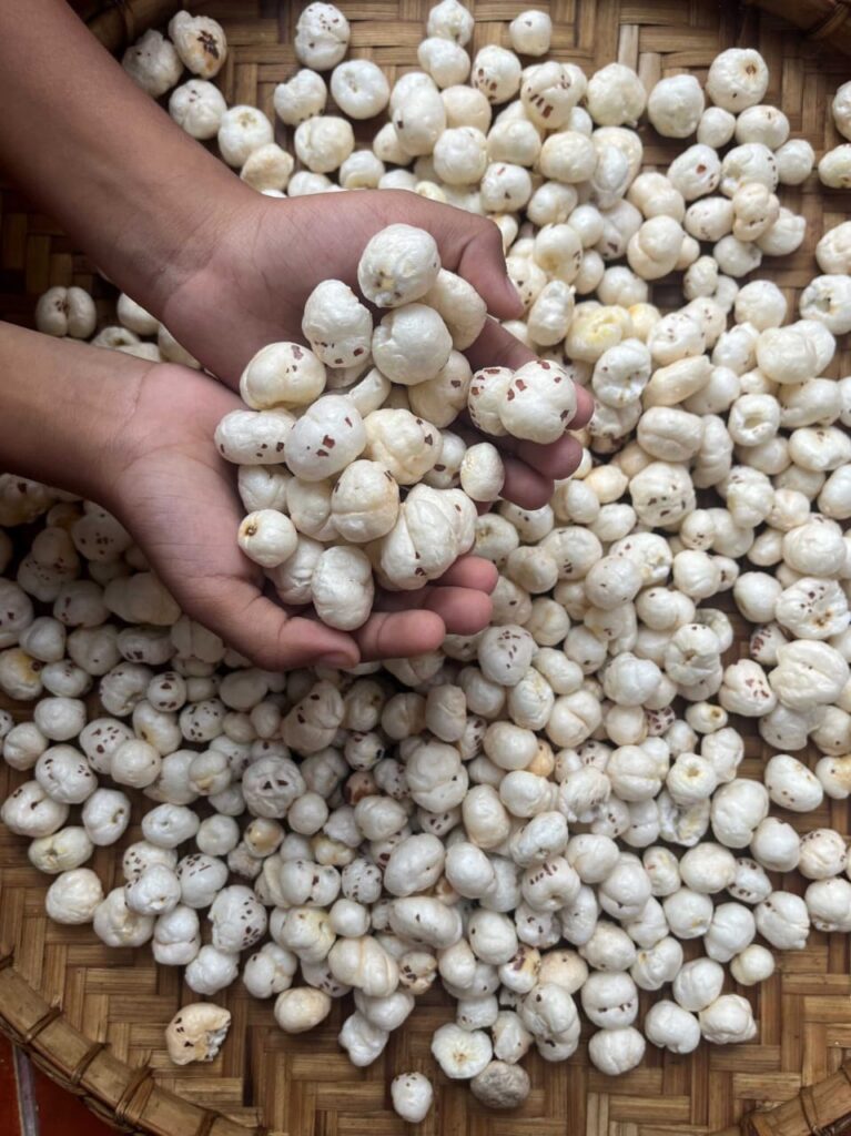 5+ Suta Makhana Exporter from India to USA